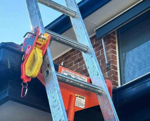 ladder safety accessories